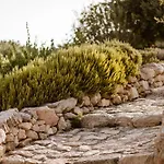 Cemilion * Koufonisia