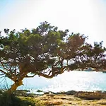 Cemilion * Koufonisia