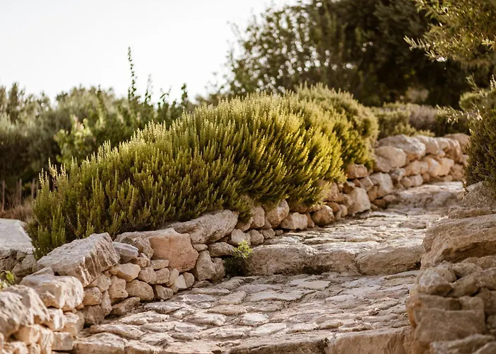 Cemilion * Koufonisia