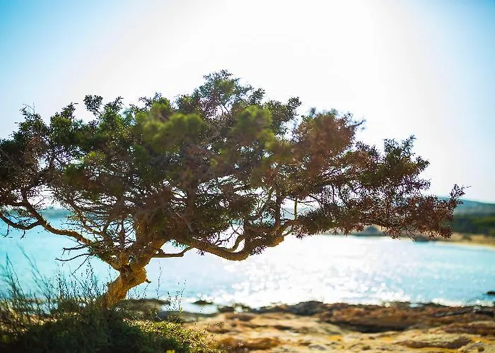 Cemilion * Koufonisia