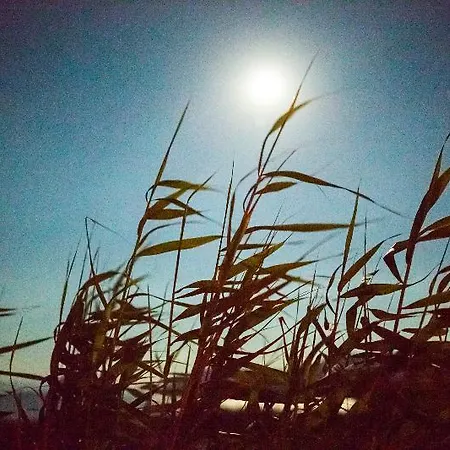 ヴィラ Cemilion *