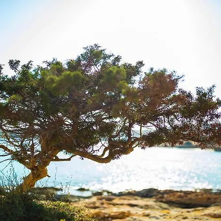 Cemilion * Koufonisia